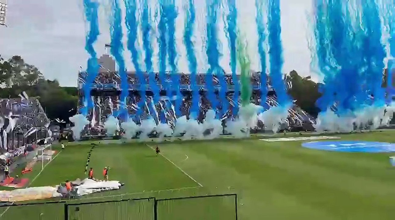 Recibimiento en el Bosque