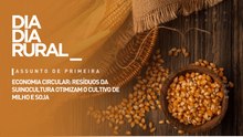Economia Circular: resíduos da suinocultura otimizam o cultivo de milho e soja