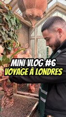 Mini vlog, petit cours de botanique Harry potter ! #6