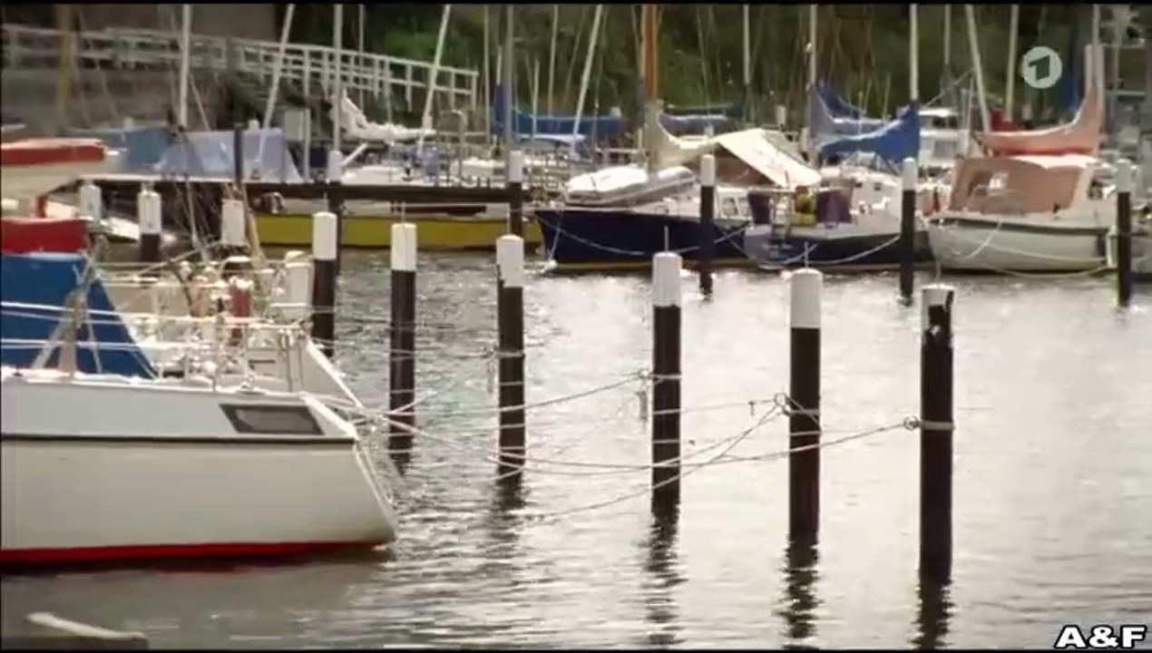 Sterne über dem Eis