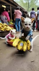 The story of a kitten brother and a sister struggling to buy a new car