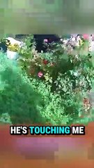 Woman Tries Outsmarting Cop And Fails Miserably