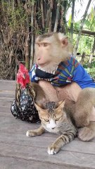 Best SokYaa, OG, Pao & Mom Are Videomous Around The World #shorts #anime #trend #edit