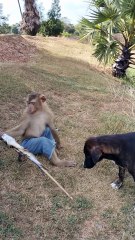 Best SokYaa, OG, Pao & Mom Are Famous Around The World #shorts #anime #trend #edit