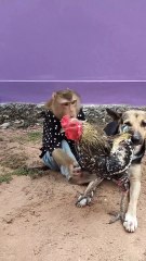 Good Job Best SokYaa, OG, Pao & Mom Are Famous Around The World #shorts #anime #trend #edit