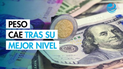 El peso retrocede frente al dólar después de alcanzar su punto más fuerte del año