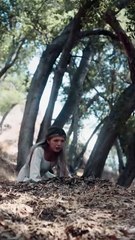 Bound to the Rebel Wolf USA #ReelShort