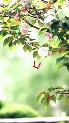 I Run Eternity All Bow To Me Full Episode