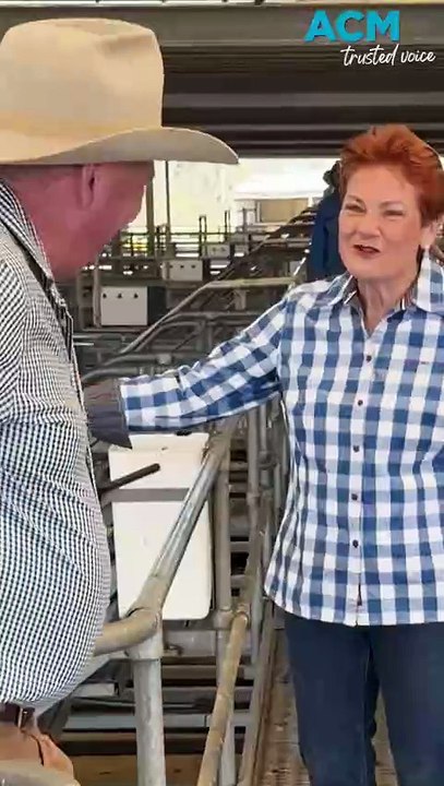 Barnaby Joyce defects to One Nation