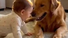 Happy moments between a dog and a child playing joyfully and happily! 🐶👶❤️ Enjoy the moment! #baby #dog #ai #puppy