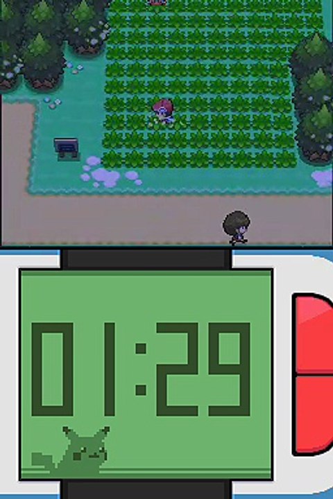 Pokémon Version Platine online multiplayer - nds