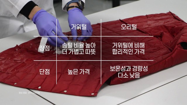 겉은 거위, 속은 오리...반복되는 '패딩 표기 불신' [앵커리포트] / YTN