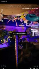 Wild Ride With The Dangerous Kian [ SHORT DRAMA WITH HIGH QUALITY  ] #FullMovie