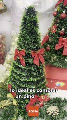 ¿Árbol natural o artificial? Lo que dice la Conafor sobre la mejor opción en Nuevo León