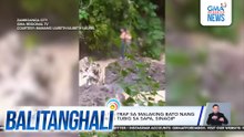 2 menor de edad na na-trap sa malaking bato nang biglang rumagasa ang tubig sa sapa, sinagip | Balitanghali