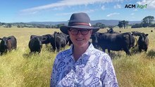 Why Sabble Farm swapped dressage for a thriving Angus operation