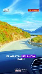 Fakta Unik Selandia Baru, Negara Pertama yang Menyambut Matahari