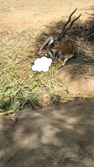 Does your brain also say the same?