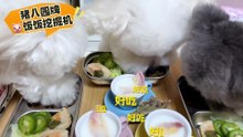 [BraveDown.Com] [💁🏻_♀️今日小饭桌饭况🍚万物可爱计划 ] [1729520182]