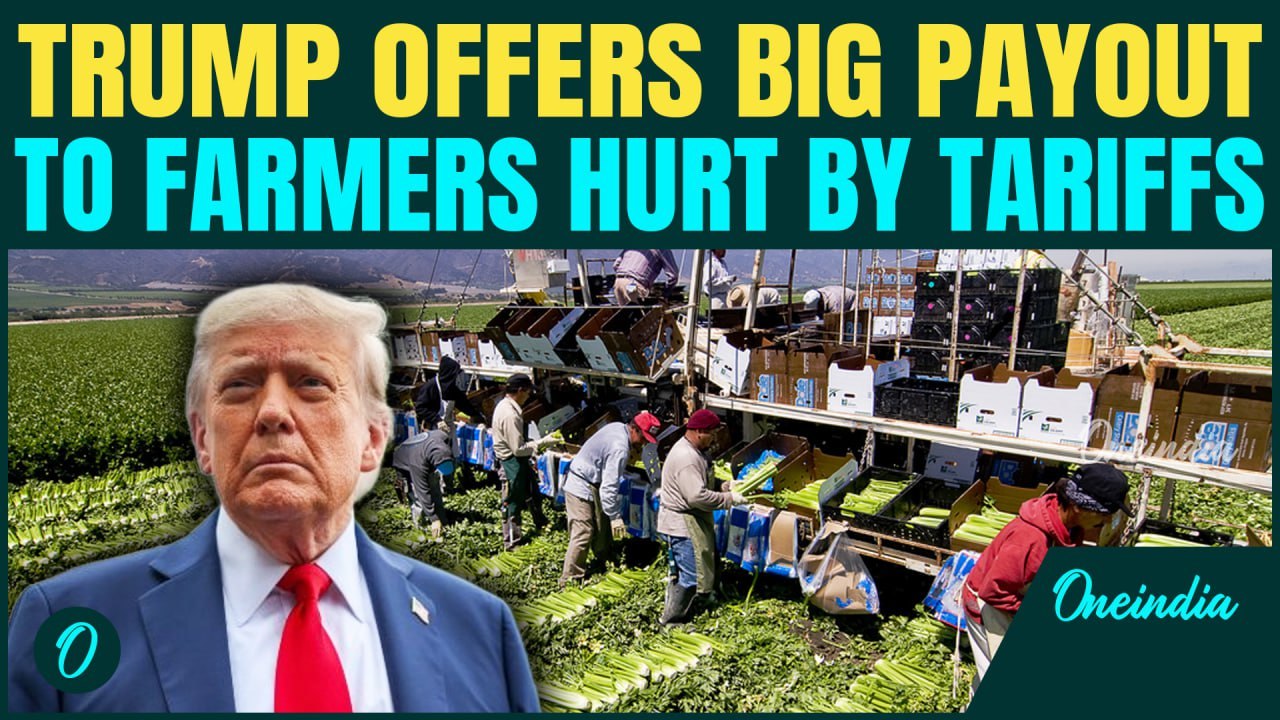 Trump in DAMAGE CONTROL Mode | Announces $12,000,000,000 Aid to Farmers HIT by his Tariff Policies