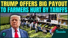 Trump in DAMAGE CONTROL Mode | Announces $12,000,000,000 Aid to Farmers HIT by his Tariff Policies