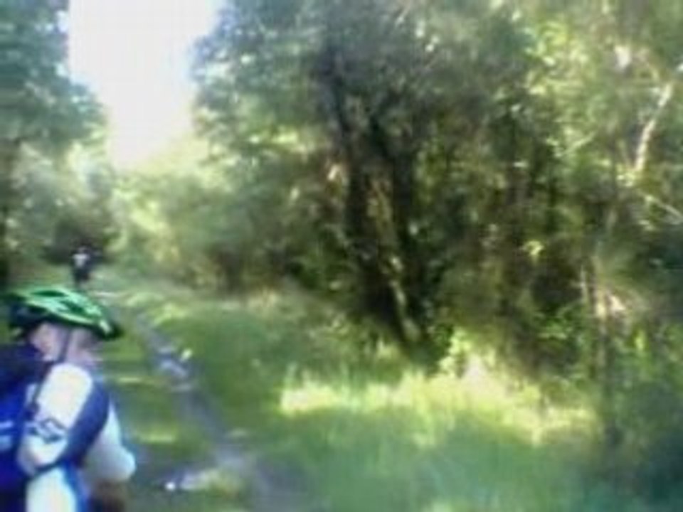 25-05-08 st jean d'angely (1)