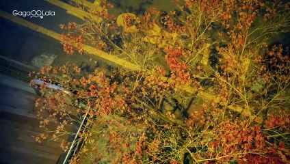 {Ep.6- Eng Sub} $ementic error  Korean bl