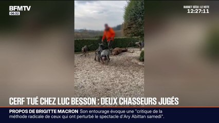 Cerf tué chez Luc Besson: deux chasseurs jugés ce mardi à Argentan (Orne)
