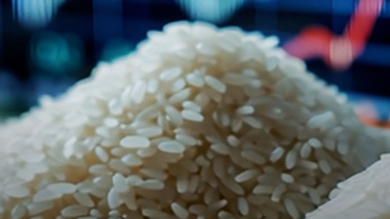 Stock Market Crash: Trump Rice Tariff से बाज़ार धड़ाम