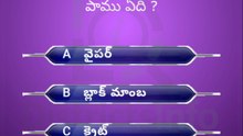 GK Questions in Telugu|| General Knowledge. Questions Telugu || Interesting Questions Telugu#gkquiz #gk #generalknowledge #gkquestion #gkchallenge #generalknowledgequestions #techgrowtelugu #telugugk #teluguquiz #compitativeexams #gktricks