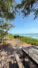 SUBLIME VUE sur l'île aux serpents à l'horizon
