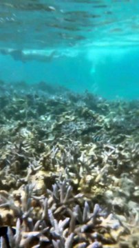 SUPERBE MOMENT avec les petits poissons