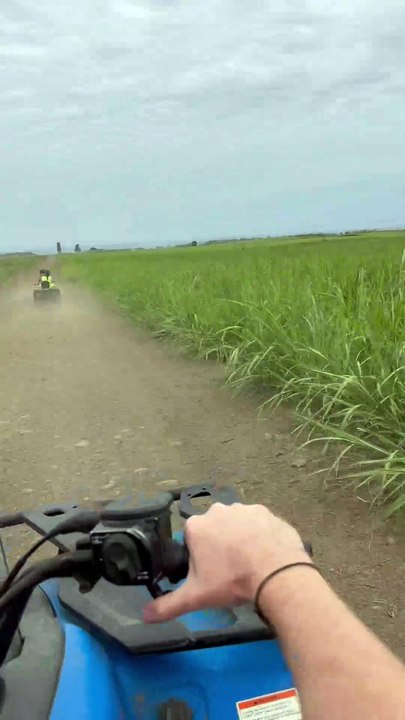 SUPERBE MOMENT en quad à l'île Maurice