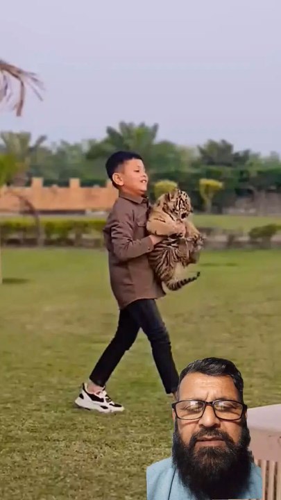 funnyvideo