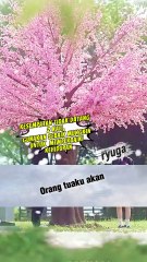 Dapat Suami dari Club - Ternyata CEO yang lupa ingatan Part 007