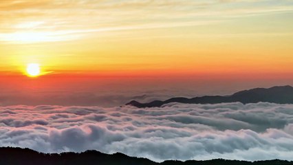 Mélodie Tendre & Relaxation Profonde – Musique Douce pour Se Détendre