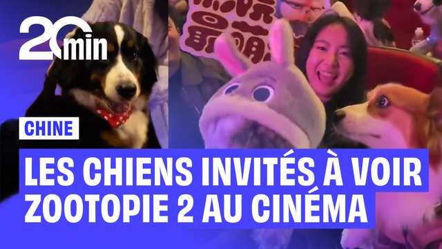 Cinéma : en Chine, les spectateurs peuvent voir Zootopie 2… avec leur chien