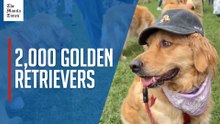 Argentina aims to break world record and win the 'golden' medal with its pets