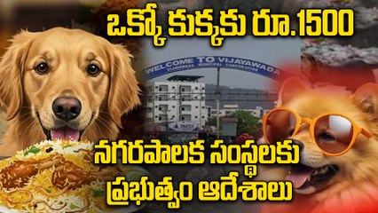 Street Dogs : కుక్కల కోసం డేంజరస్‌ Animal Pounds ఏర్పాటు | OneIndia Telugu