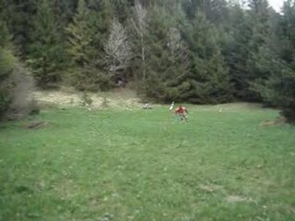 Ski sur herbe vers Bourg St Maurice Savoie