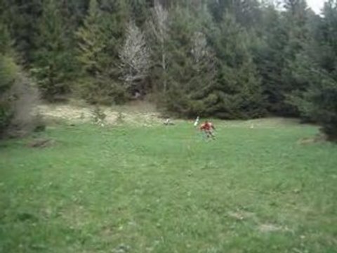 Ski sur herbe vers Bourg St Maurice Savoie