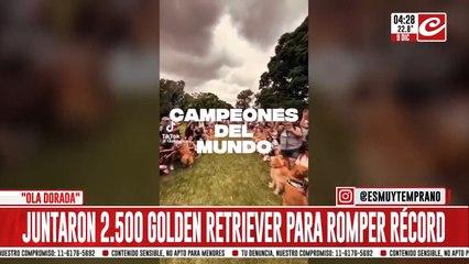 Ola dorada en Palermo: miles de Golden Retriever coparon los Bosques de Palermo