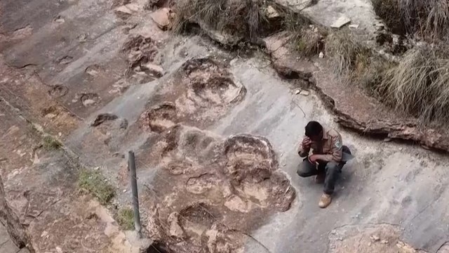 Encuentran el mayor yacimiento de huellas de dinosaurio del mundo