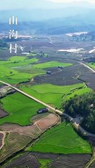 Before The Gold, Before The Name