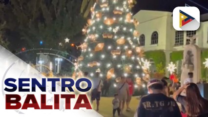 Giant Christmas tree ng Ilocos Norte, pinailawan na; Laoag City Hall, may mga simple pero eleganteng Christmas decorations | ulat ni Jude Pitpitan - Radyo Pilipinas Laoag