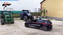 Modena, sgominata banda specializzata in furti di trattori