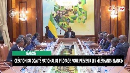 [#Reportage] Gabon : création du Comité national de pilotage pour prévenir les «éléphants blancs»