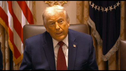 Trump avverte l'Europa: sta andando in una brutta direzione