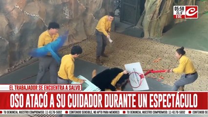 Oso enloqueció y atacó a su cuidador frente a cientos de espectadores