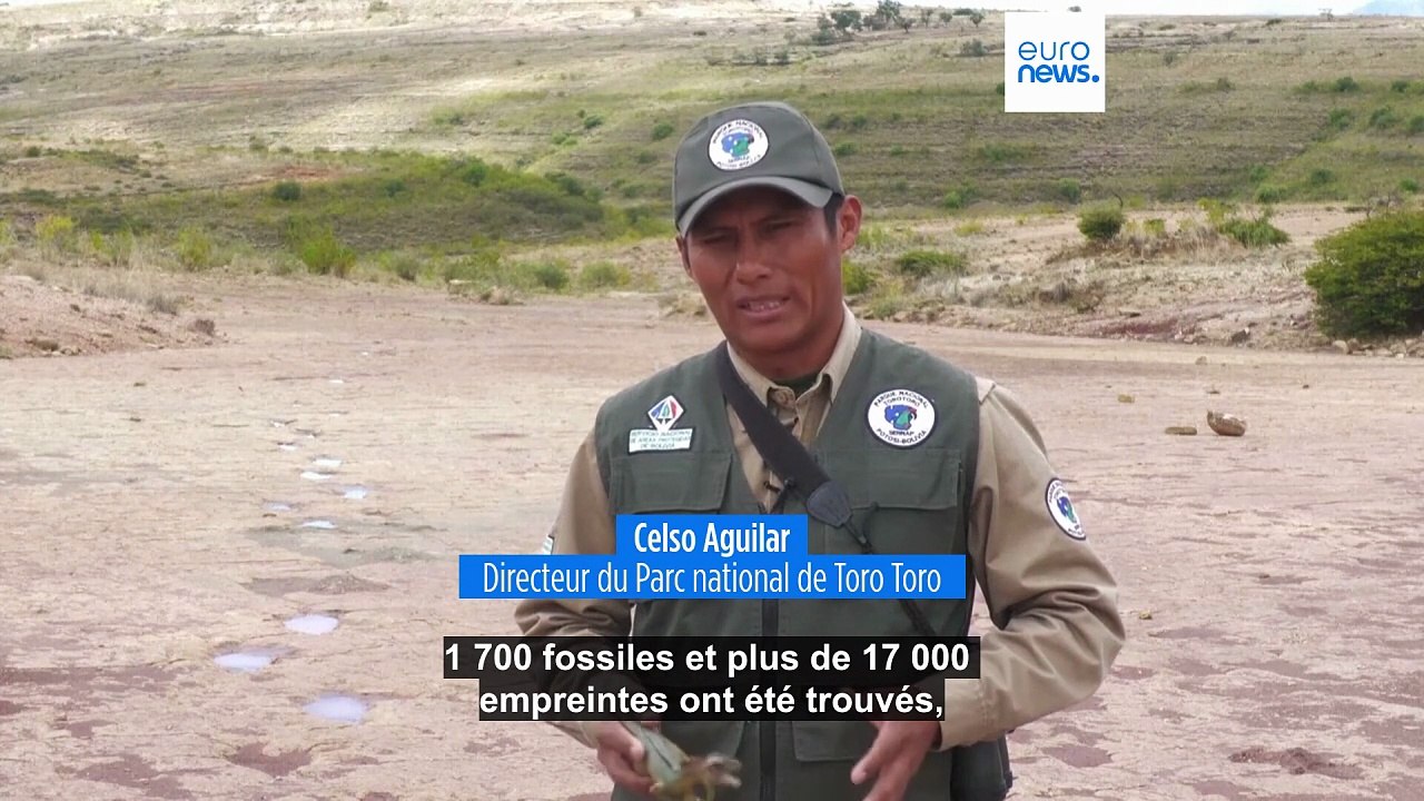 Bolivie : le plus grand site d’empreintes de dinosaures jamais découvert au monde